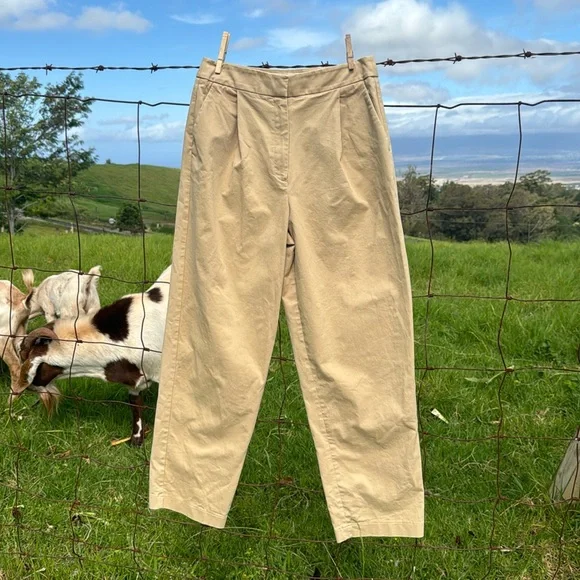 Anthropologie Equise barrel Leg Chinos Cedar Small - Picture 2 of 10